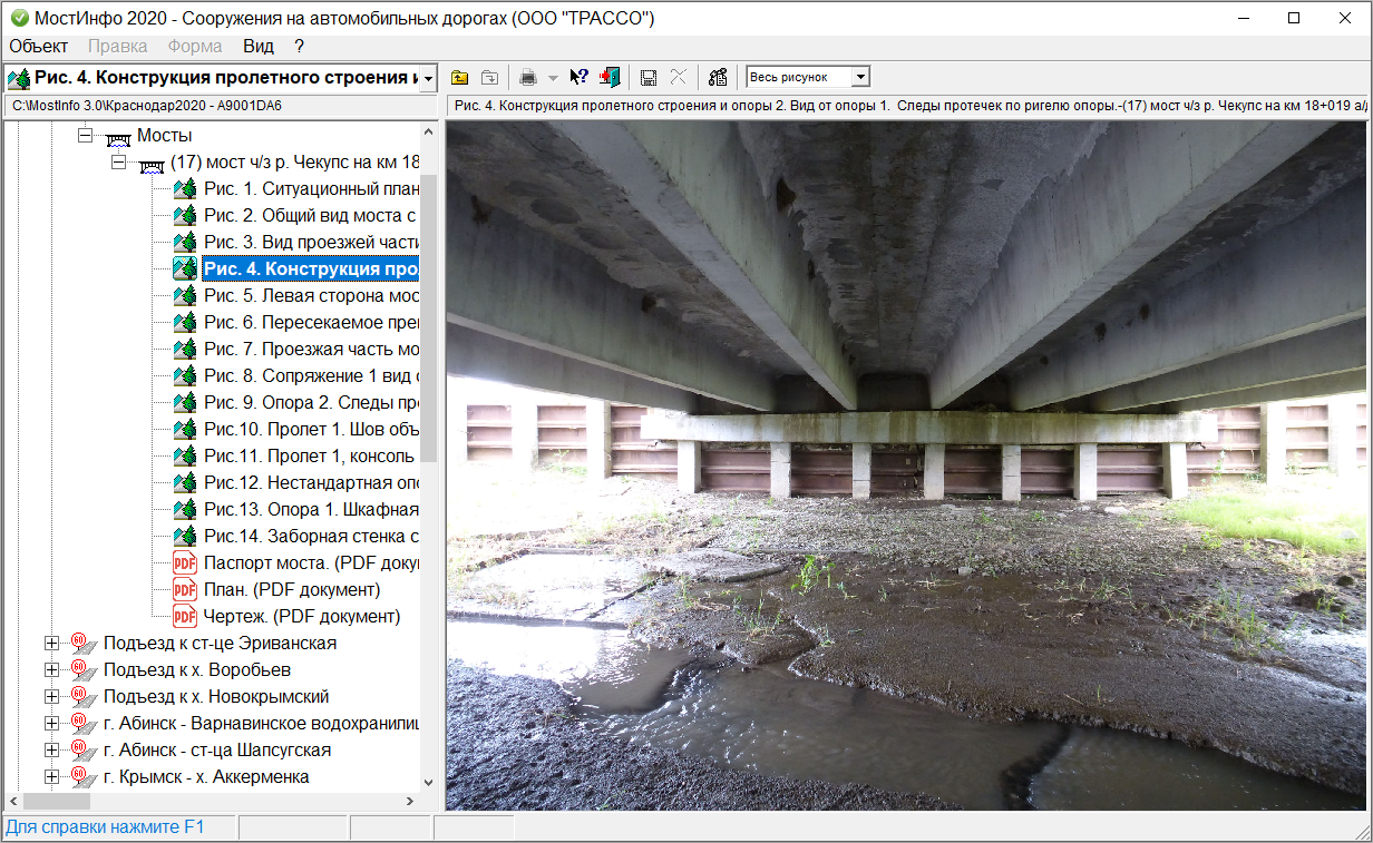 Программа МостИнфо с выбранным графическим объектом Программа МостИнфо